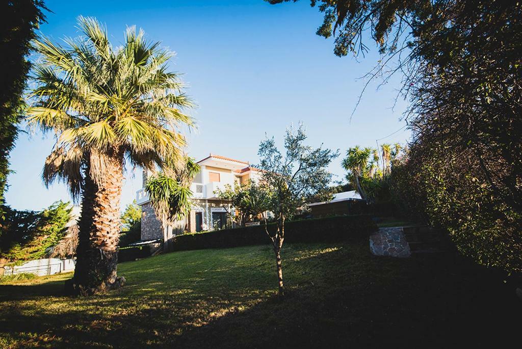 Villa Soula Anávyssos Eksteriør bilde